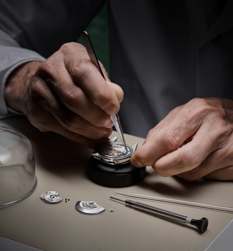 Rolex watch servicing procedure